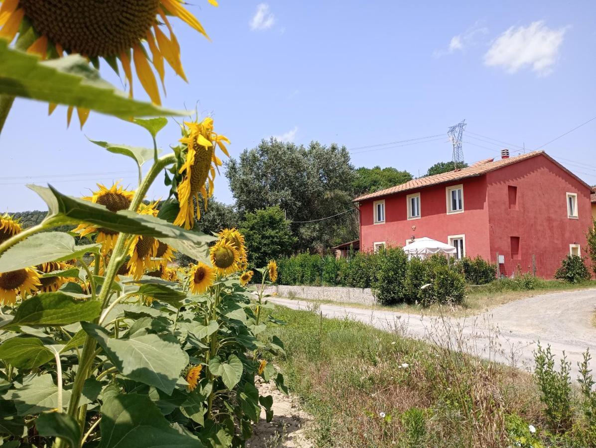 Coiano La Casa Rossa Bed & Breakfast エクステリア 写真